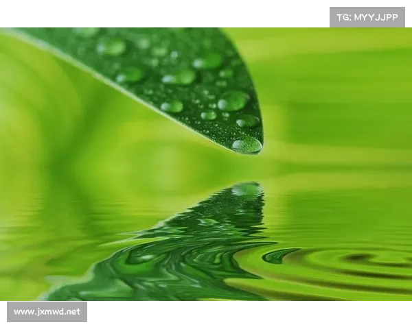 水滴赛事激情开启邀您共同见证每一滴水的力量与梦想